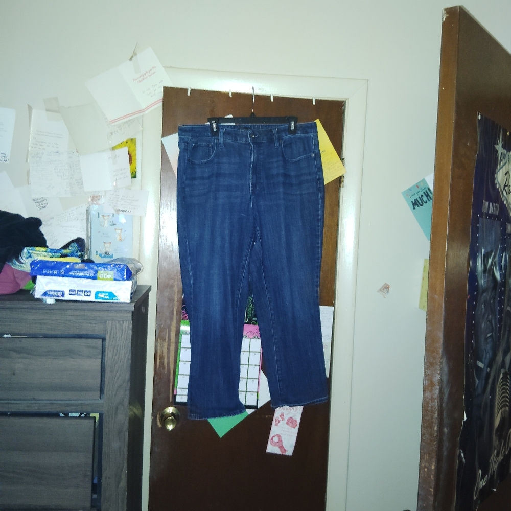 TALBOTS Modern Ankle Jean - PLUS SIZE dark wash - Picture 4 of 11